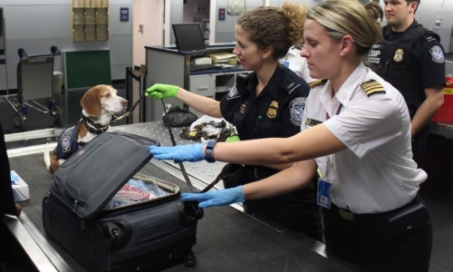 Canada Border Agency reminds travelers that bringing Cannabis across an international border is illegal
