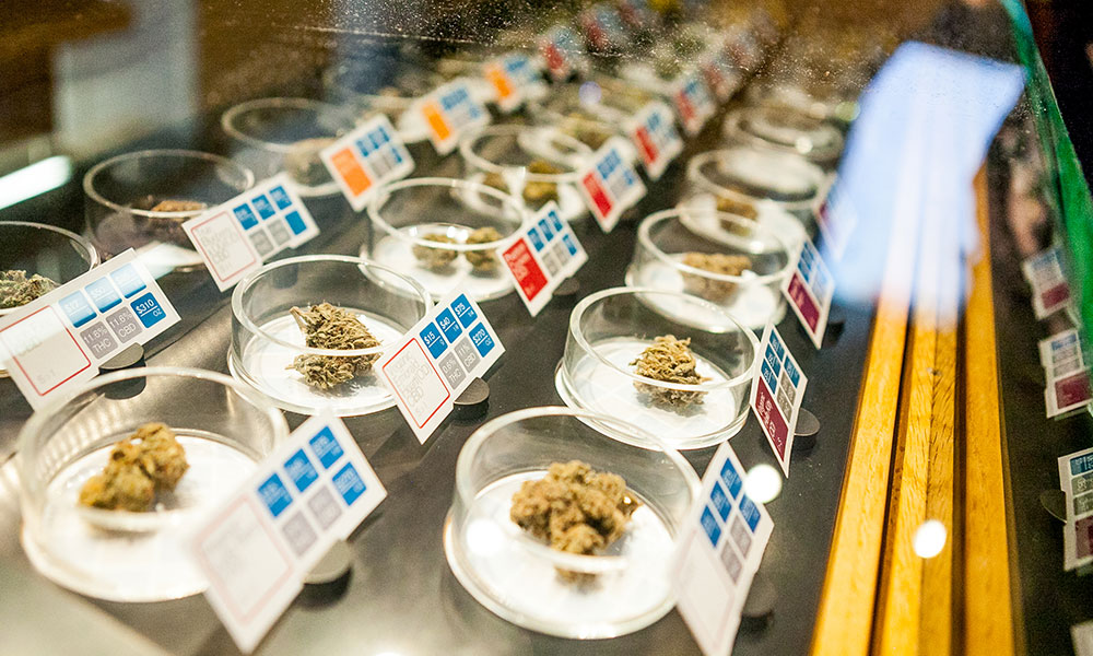 Californians Are Spending the Most on Legal Cannabis