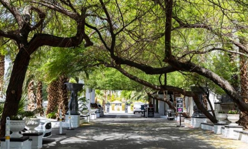 Cannabis-friendly Lexi Hotel navigates through Nevada's Marijuana rules