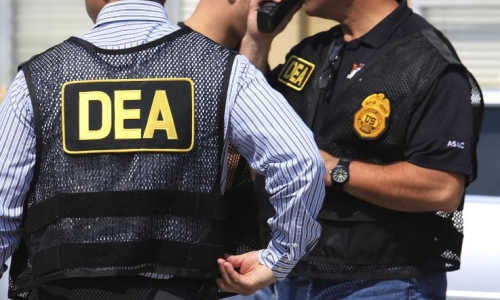 Cannabis arrests down as DEA seizes 6 Million Plants