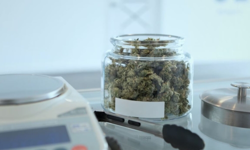 Cannabis retail ban finally lifted