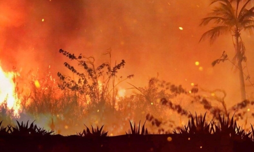 City prepares to evacuate as Western Hemp Fire spreads