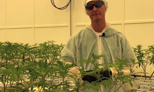 Danish Medical Cannabis company announces swathe of updates as it seeks fresh funding