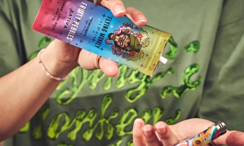 From visionaries to Hemp innovators