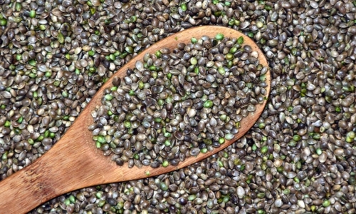 Hemp Seed market fueling innovation in various industries
