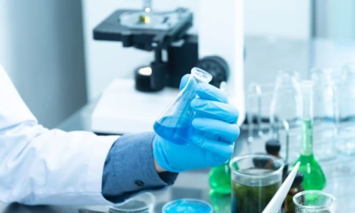 Hydrogen utopia takes option over Medical Cannabis grower