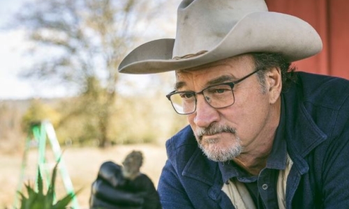 Jim Belushi, actor and Cannabis farmer wants to tap into Florida green