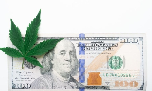 Legal Weed sales in Minnesota expected to hit $1.5 Billion