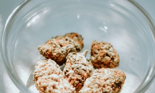 Minnesota to have highest home limit in history: 2 pounds