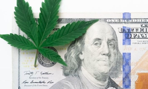 New Mexico Cannabis jobs pay more than other industries