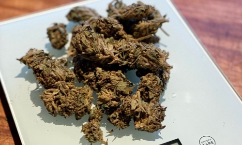 New York cultivators have too much Weed on their hands