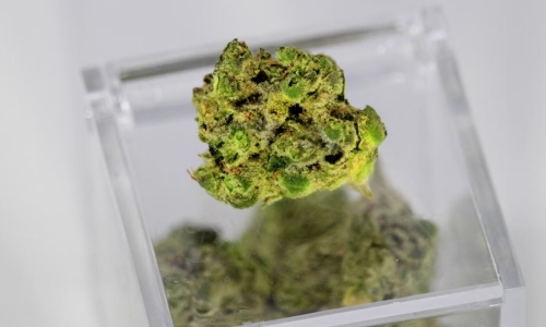 New dispensary expands patient access to Medical Cannabis in Georgia