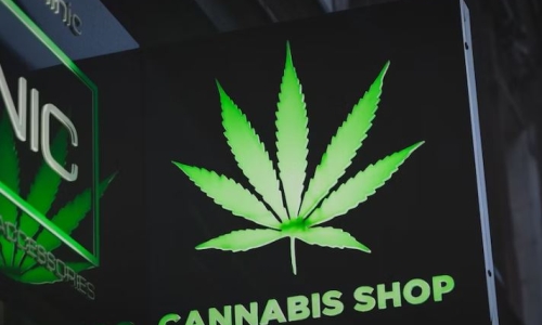 San Francisco leaders consider pause on cannabis shop applications
