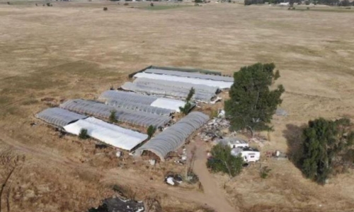 Six people busted for Marijuana operation