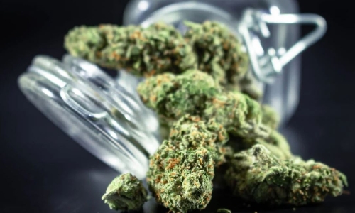 South Dakota anti-Pot lawmaker gets Medical Weed card to test system