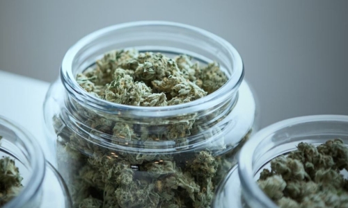 Thousands of pounds of Marijuana sitting in storage across New York state