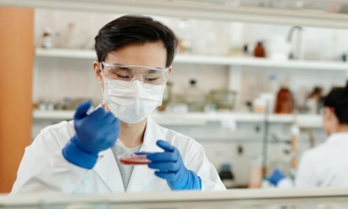 Unlocking the complete potential of industrial Hemp using genomics