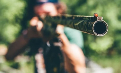 Your gun or your Ganja: It’s illegal for Marijuana users to own a gun