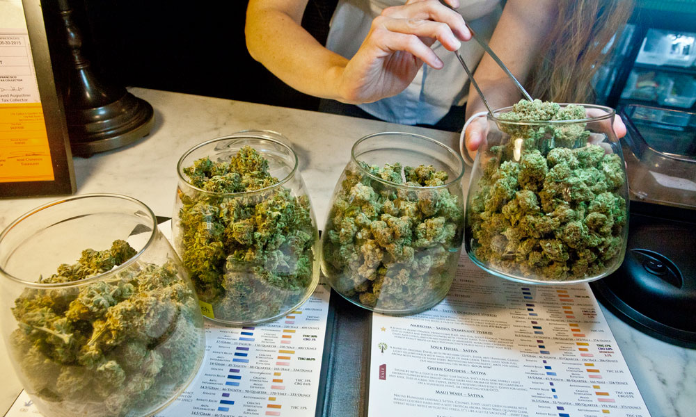 Budtender selecting cannabis at dispensary, cannabis dispensary