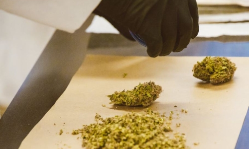2nd round of Detroit Recreational Marijuana business licenses opening soon