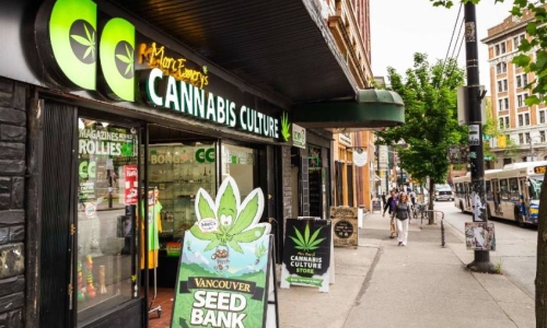 BC oversight of Cannabis stores falling short