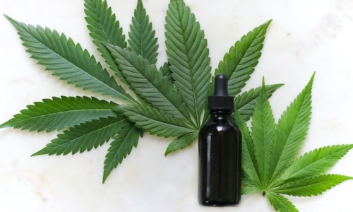 Bill aims to establish regulatory framework for CBD as a supplement