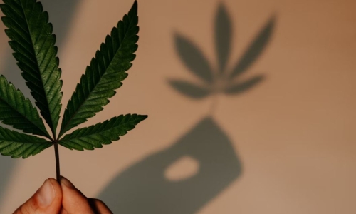 Bipartisan effort from Senators to Legalize Recreational Cannabis in Pennsylvania