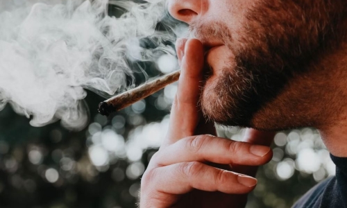 Canadian study examines potency and duration of joints