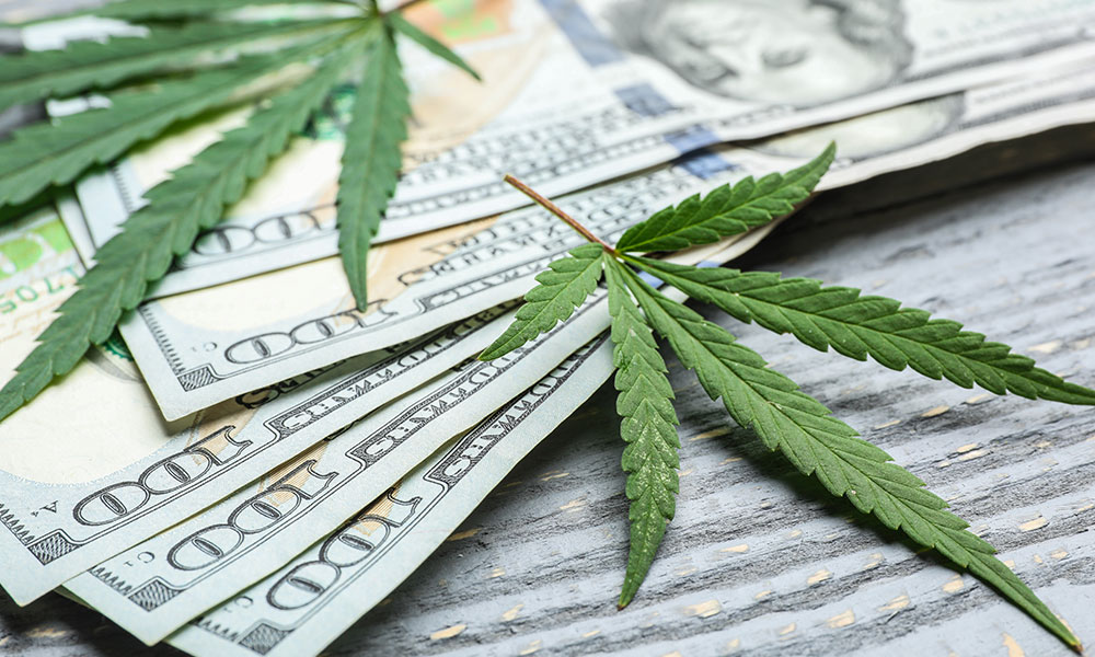 Missouri Cannabis Sales Cannabis Leaves with Money