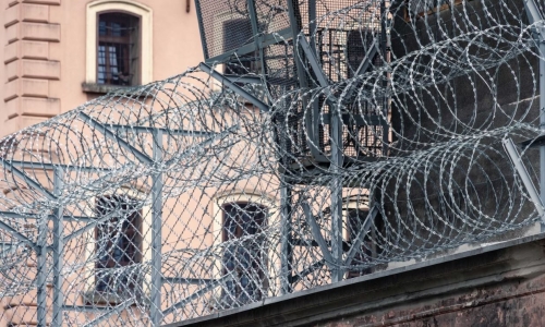 Cannabis Legalization sees 61% drop in Cannabis Prisoners