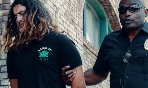 Cannabis arrests rising as summer season kicks off