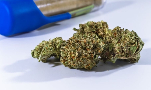 Hemp businesses sue Maryland for 'monopolizing' recreational Pot licensing process