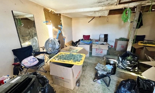 Illegal Marijuana bust uncovers human trafficking operation in Merced