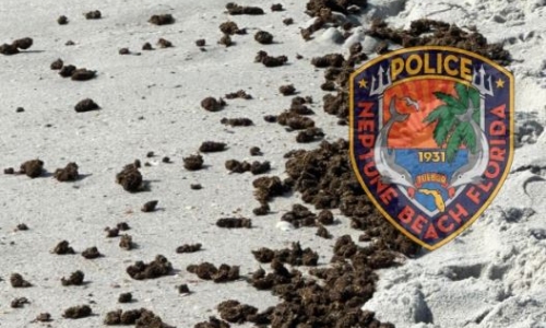 Large amount of Marijuana washes up on Florida beach