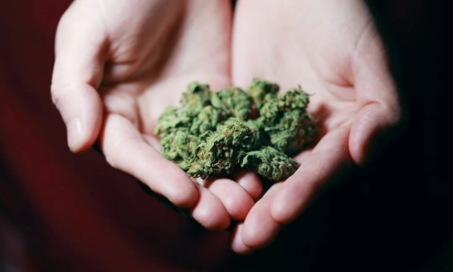 Maryland's adult-use Cannabis market is open for business