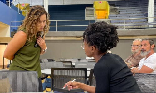 Missouri official vows to conduct survey on Cannabis business demographics