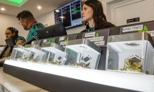 Ocean County’s first Recreational Cannabis store is breaking stereotypes