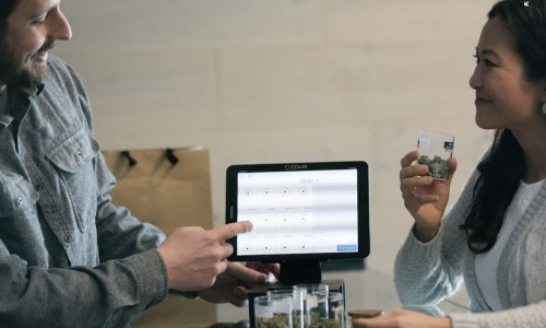 Pot companies are in trouble. Survival tips here!