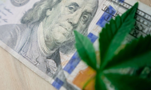 Recreational Marijuana legalization would boost Florida's tax revenue by up to $431.3M per year