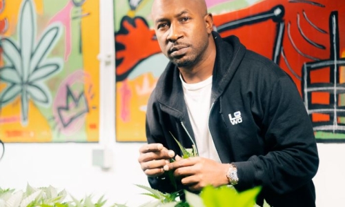 STEM insights from engineers and scientists pioneering Cannabis