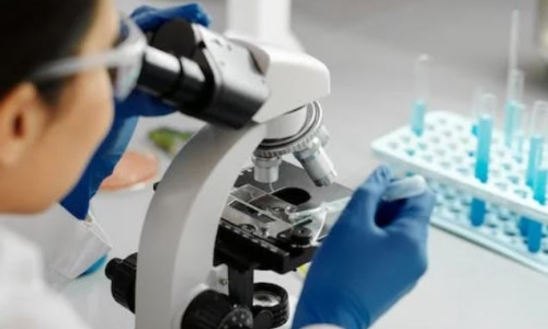 Sky Labs fined $100k and loses Cannabis License