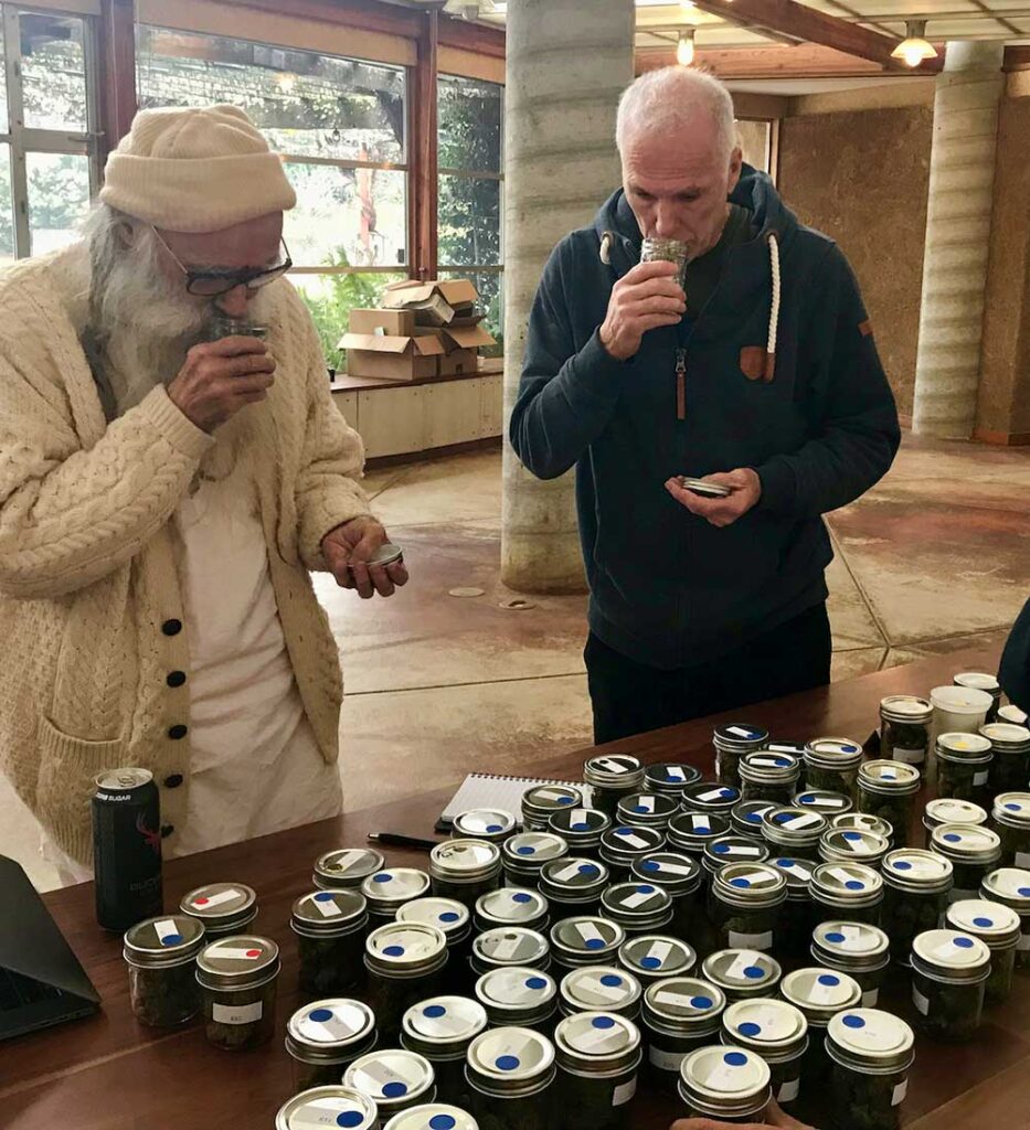 Volatile compounds in cannabis