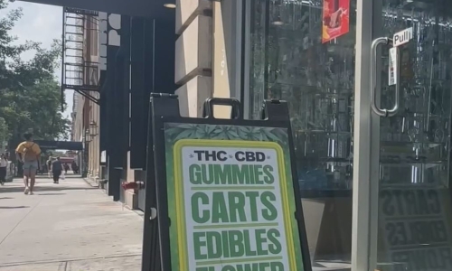 Unlicensed Cannabis shops reopen for business in defiance of state crackdown