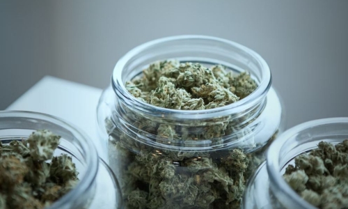 Weed sales in decline in largest drop since legalization