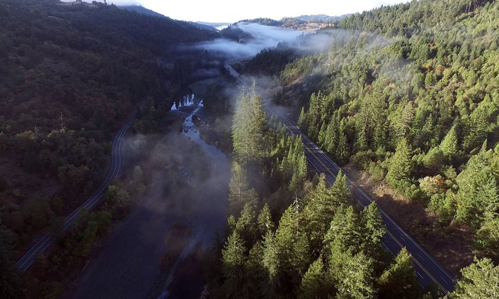 Humboldt Legends Cannabis Now