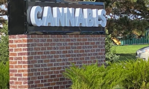 Cannabis sales hit record high but profits another story