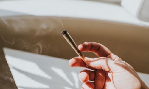 Cannabis technology to neutralize the dank