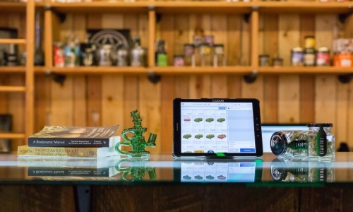 Cannabis vendors in Limbo as Judge Halts N.Y. License Program