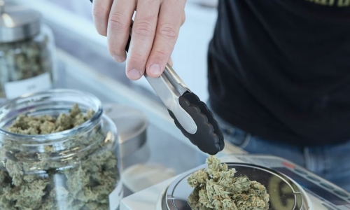 Critics say cannabis equity partnerships in CT favor large corporations