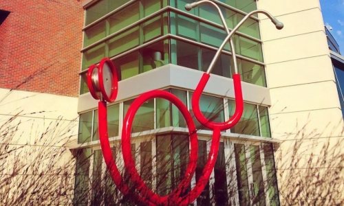 Health insurance premiums decrease in states with legal Medical Cannabis